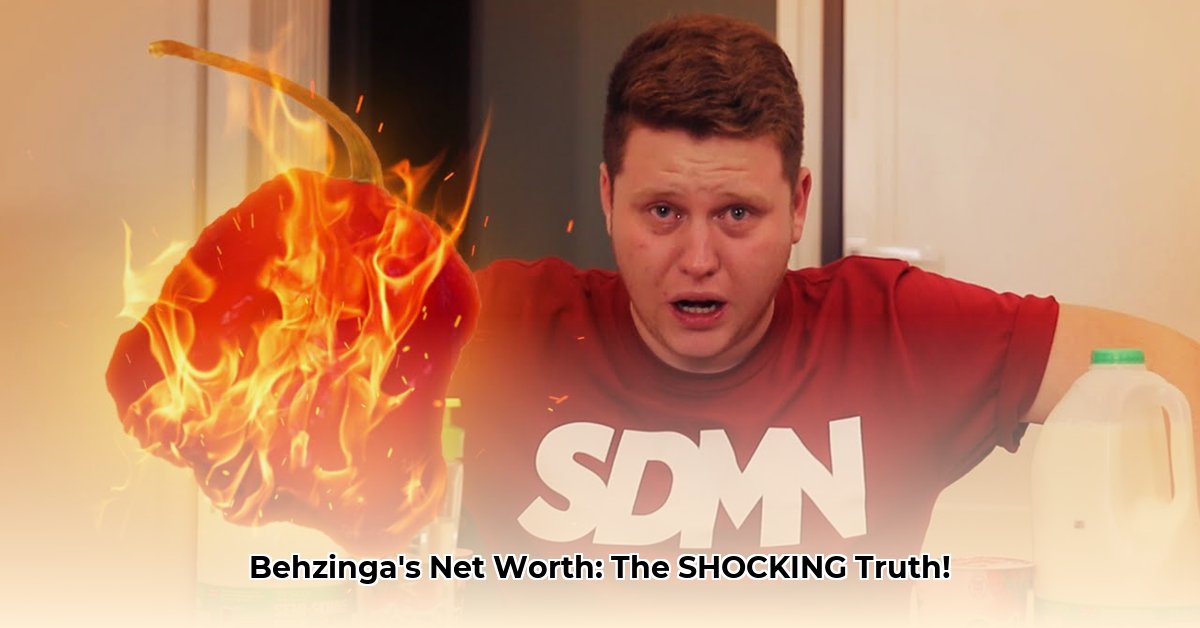 behzinga-net-worth